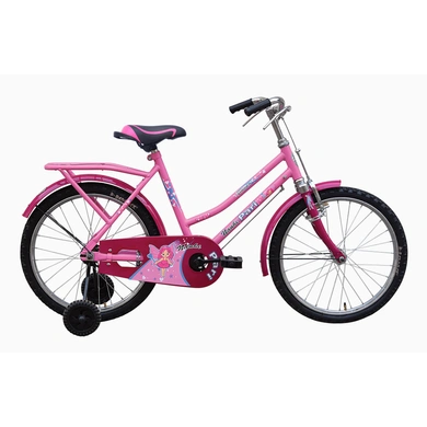 Buy tata 2024 cycles online