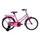 TATA Stryder NANHI PARI 20T-TATA293-sm