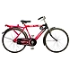 TATA Stryder JUMBO Plus IC 20&quot;-TATA350-sm