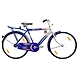 TATA Stryder JUMBO Plus IC 20&quot;-TATA351-sm