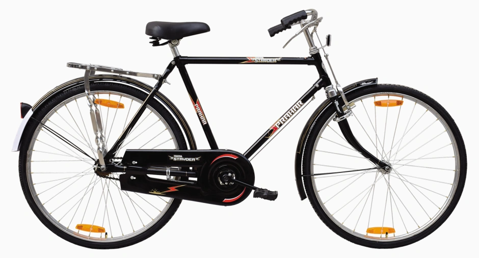 Stryder cycle online price