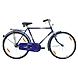 TATA Stryder PRAHAR 20&quot;-TATA355-sm