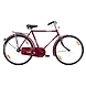 TATA Stryder PRAHAR 20&quot;-TATA356-sm