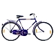 TATA Stryder PACE 20&quot;-TATA359-sm