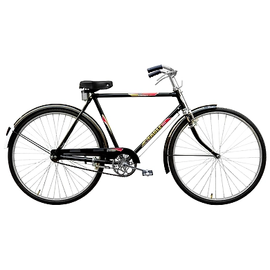 TATA Stryder EAGLE GOLD 22&quot;-TATA360