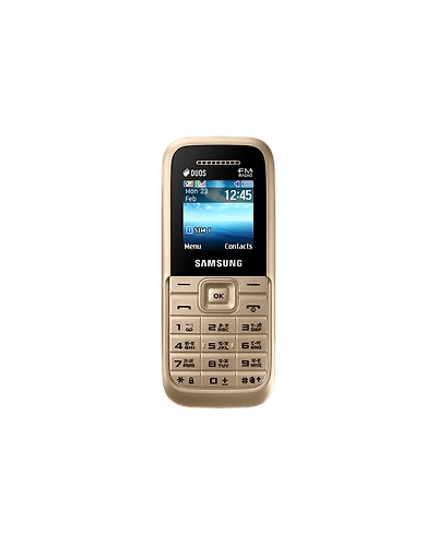 Samsung Guru FM Plus-B110-Gold