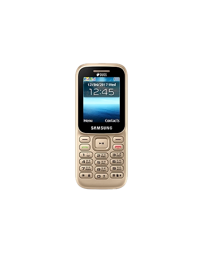 Samsung Guru Music 2-B310-Gold