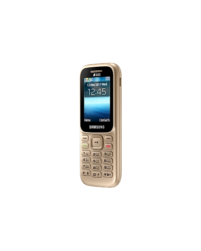 Samsung Guru Music 2-Gold-1