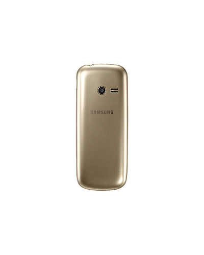 Samsung Metro 313-Gold-1