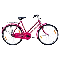 TATA Stryder PAAKHI 20"