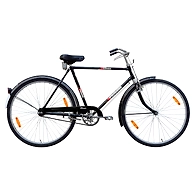 TATA Stryder PRAHAR 22"