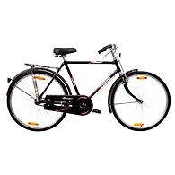 TATA Stryder PRAHAR 20"