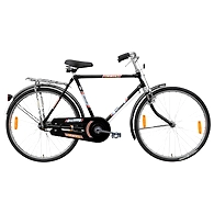 TATA Stryder PACE 20"