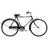 TATA Stryder EAGLE GOLD 22"