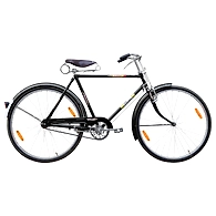 TATA Stryder BULLET 22"/24"