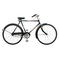 TATA Stryder Guru 22Ã¢â‚¬Â