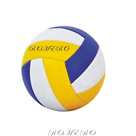 VOLLEY BALL PU