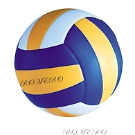 VOLLEY BALL PU MOULDED