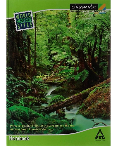 Classmate Long Notebook - A4, Soft Cover, 240 Pages, Single Line - Pack of 6-BE59590