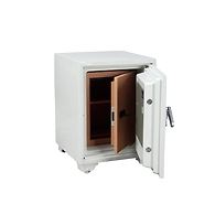 Ozone - Fireproof Safes - OES-DS-600