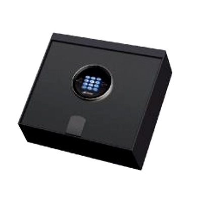 Ozone - Home &amp; Office Safes - O-LAPTOP-1