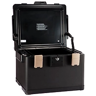 Ozone - Home &amp; Office Safes - OES-FPC 31L Black