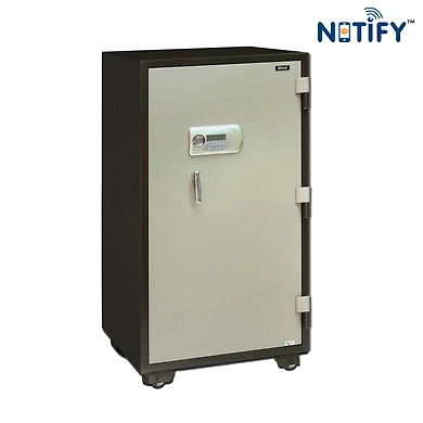 Ozone - Notify Digital Safes - FIRE WARRIOR-100-1