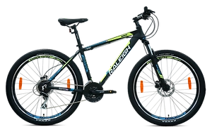 Raleigh roxio 1.0 29er on sale