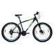 ROXIO 1.0 - 29-Raleigh6-sm