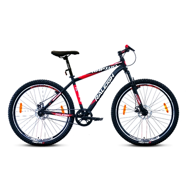 RAPIDO 29er SS-Raleigh15