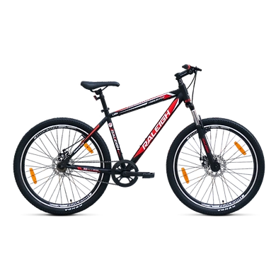 THRUSTER 27.5 SS-Raleigh17