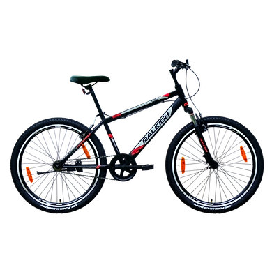 TEKOA-Raleigh20