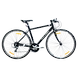 STORM-Raleigh24-sm