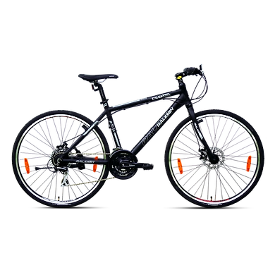 STRADA ELITE-Raleigh25