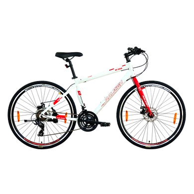 MY RIDE 700C ALLOY-Raleigh27
