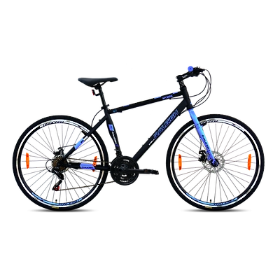 MY RIDE 700C STEEL-Raleigh28