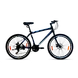 MY RIDE 26 - 21 SPEED-Raleigh30-sm