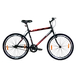 BIKE FUN 26 SS-Raleigh33-sm