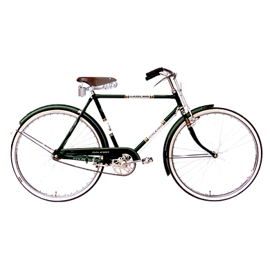 CLASSIC MAN-Raleigh37