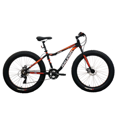 BIG SAM MS-Raleigh38