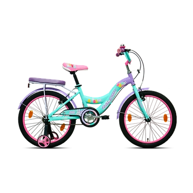 EVA 20 INCH-Raleigh45