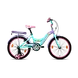 EVA 20 INCH-Raleigh45-sm