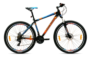 Raleigh roxio 1.0 29er online