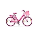 WINSOME 24-Kross101-sm
