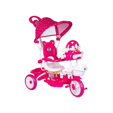 Premium Tricycle With Adjustable Seat-2