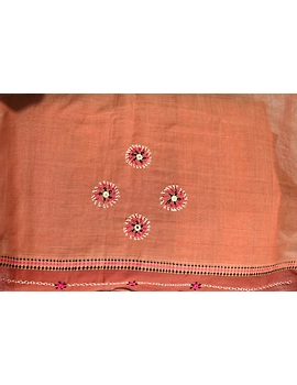 Handloom saree with hand embroidery : SM13-3-sm