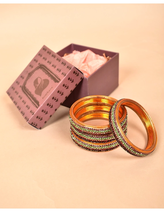 Pair of broad bangles in multicolour tones: PL05GO-2-06-1