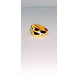 DGENTS RING003-18-2-sm