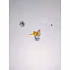 PNDTSETZ001-18-1-sm