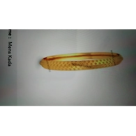 GENTSKADE022